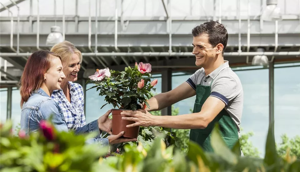 Verkäufer und Kundinnen im Gartencenter