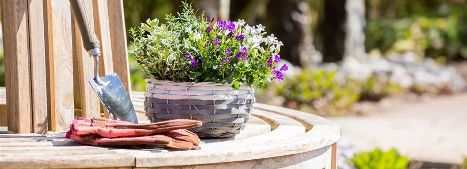 Bepflanzter Übertopf im Gartenambiente