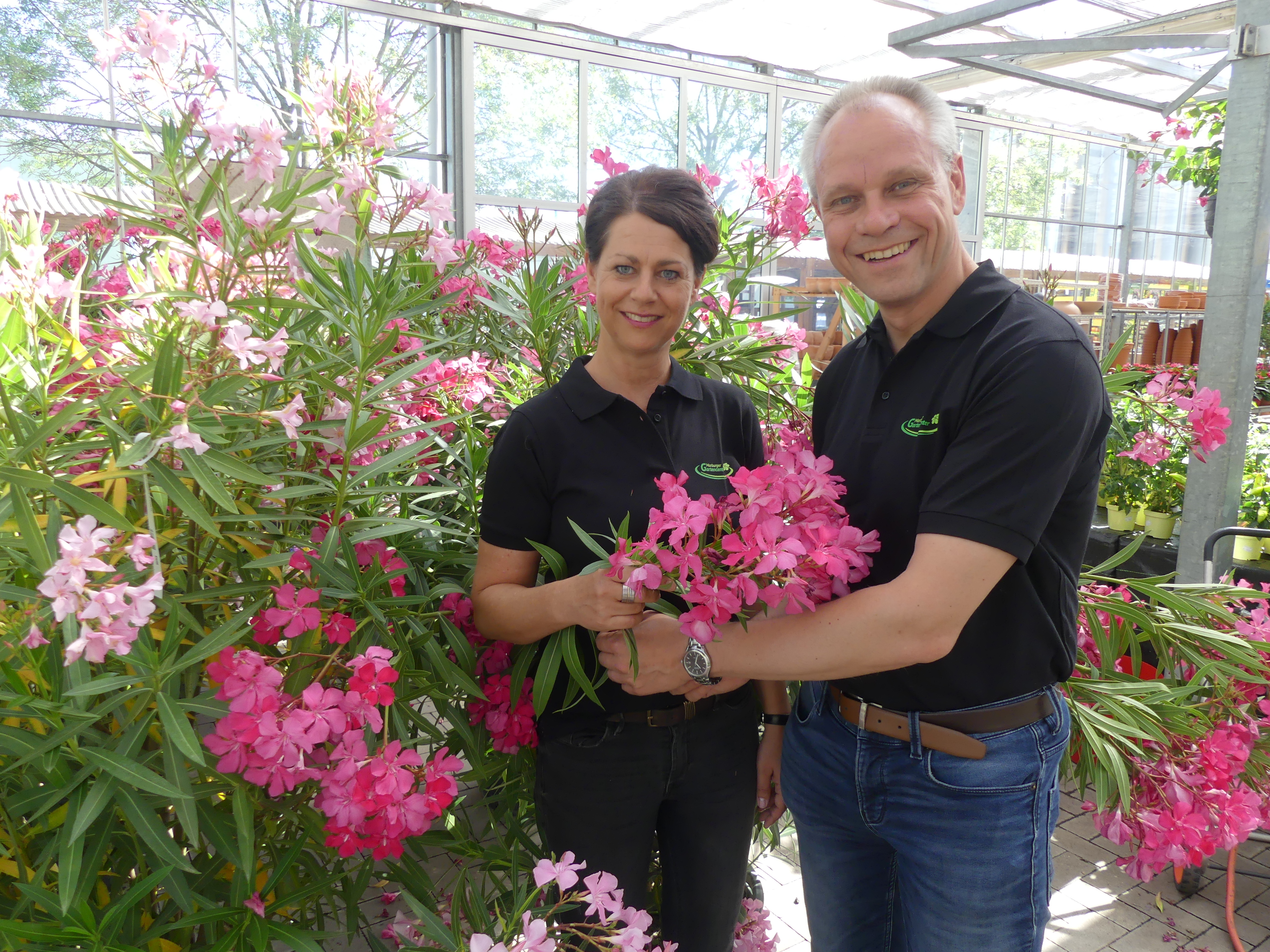 Blumen Präsentation